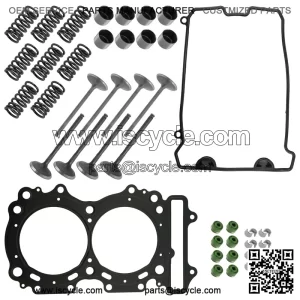 Arctic Cat ZR 5000 2014-17/Bearcat 5000 XT 2015 Intake & Exhaust Valve Kit