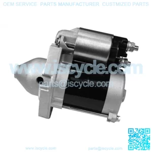 Electric Starter 12430