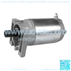 Electric Starter For Honda 11079