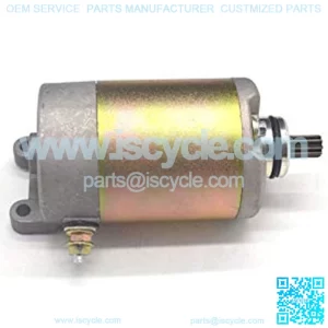 Electrical Motor Starter for Hammerhead BMS Joyner 250 250cc Go Kart Dune Buggy