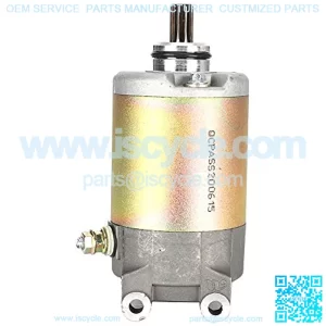Motorcycle Starter Motor, Engine Starter Motor Replacement Fit for CN250/CH250/CFMoto 250/Kymco 250cc Engine