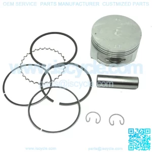 295cc Standard Piston and Ring Assembly