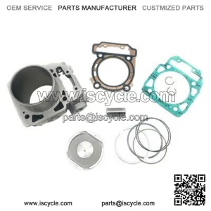 Cylinder head rear Odes 1000 complete 21050401201-KIT