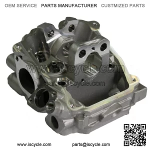 Cylinder head rear Odes 1000 22040100301