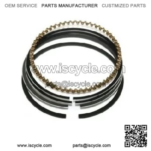 Piston ring Linhai 300 22506a