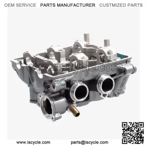 Cylinder Head for Loncin LX500-K,Voge 500DSX Euro 5 LX500-K-E5 CMPO China *NEW*