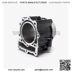 Cylinder for LX650-2C-E5 for Loncin LX650-2C,Voge 650DSX Euro 5 LX650-2C-E5 NEW