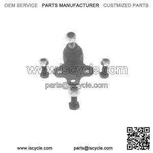 Borg & Beck Ball Joint - BBJ5091