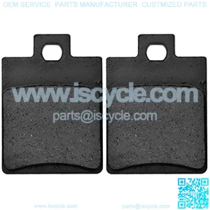 Disc Brake Pad Shoes for Chinese Made Buggy Sunl TaoTao Roketa 110cc 125cc 150cc 200cc 250cc Atv