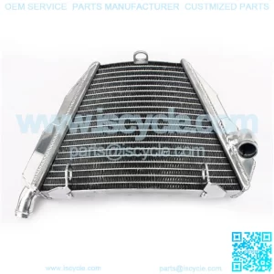 High Quality Aluminum Water Cooling Motorcycle Radiators for DUCATI Street Bike
