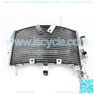 Aluminum Water Cooling Motorcycle Radiators for DUCATI Monster 821