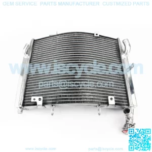 Motorcycle OEM Street Bikes radiation For Triumph