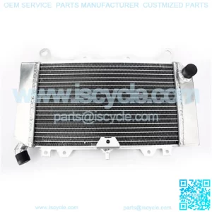 OEM Motorcycle Aluminum Radiators for Street Bike