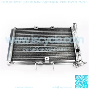 Motorcycle OEM aluminum water cooling radiator For Triumph