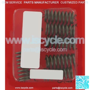 Clutch Spring Kit CSK24