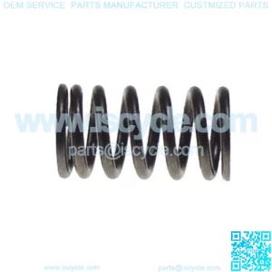 Club Car DS and Precedent 1995-Up - FE350 Valve Spring