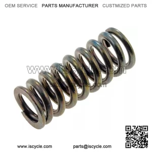 94-04 Door Hinge Spring