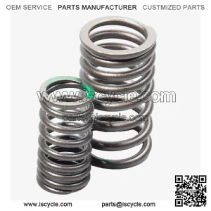 Valve Spring Set for Colove , Loncin , , Voge 500AC Euro 5, 500DS Euro 5 CMPO