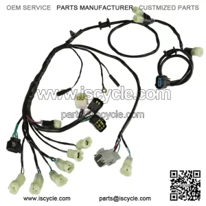 Wiring Harness For Honda TRX450R 2006-2009 Kick starter (For: Honda)
