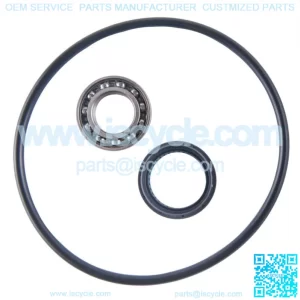 Honda TRX 250 EX Recon rear brake panel bearing and seal kit 1997 - 2020