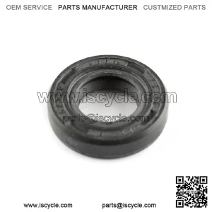 Gear Selector Oil Seal for Lexmoto Vendetta 250, Loncin , Voge ER10 Euro 5 CMPO