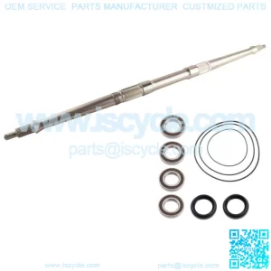 Yamaha rear wheel axle and carrier bearings kit Raptor 700 2006 - 2020