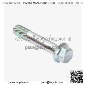 Motorcycle Swingarm Spindle for Loncin , , Voge 500AC Euro 5, 500DS Euro 5 CMPO