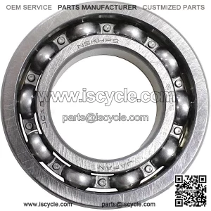 Ball Bearing 6005 SFA 1000