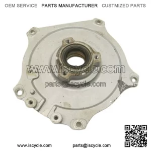 Polaris Hawkeye Ranger Scrambler Sportsman 400 450 500 Stator Plate 3089248 (For: More than one vehicle)