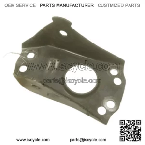 Polaris Sportsman 400 450 500 570 800 Rear Control Arm Bracket 5254267-329 (For: More than one vehicle)