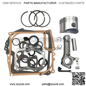 Engine Rebuild Kit With Standard Piston Fits 8HP