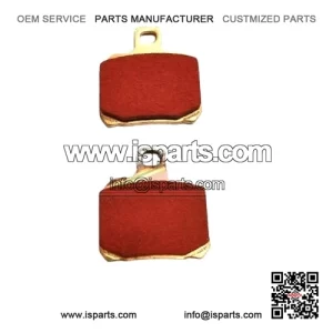 Rear Brake Pads QJ Motor SRK 600 2023 FD0256TS1