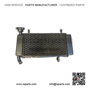 Radiator Liquid Cooled Engine QJ Motor SRK 125 S 2024