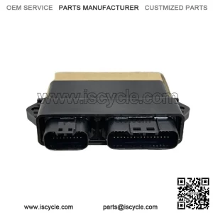 New Control Unit Electron 21175-0761 for KAWASAKI Teryx4 2012-2013
