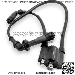 IGNITION COIL 01 SVT650 SVT650X