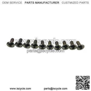 10 Pcs Front Door Hinges Screws for Suzuki SJ413 SJ410 Samurai Sierra Drover