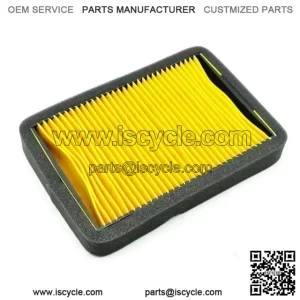 TRX125 AIR FILTER