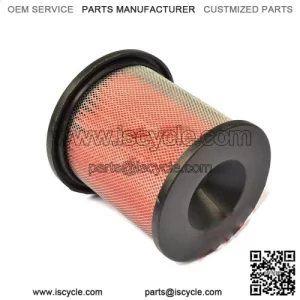 SRV600V AIR FILTER