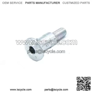 SHIFT/REAR BRAKE LEVER AXLE BOLT TRX125 SVT650
