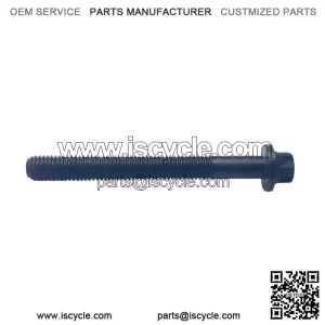 Cylinder Head Bolt
