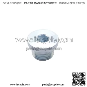 Oil Pan Plug