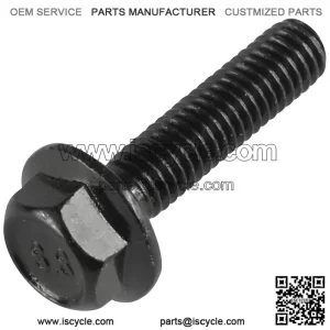 Yamaha Raptor 80 2002 2003 2004 2005 2006 2007 Flanged Head Clutch Bolt