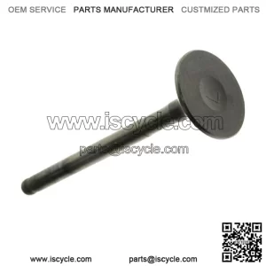 Exhaust Valve 4GL-12121-01-00 for 2000-2007 Yamaha TT-R90 TT-R TTR 90 E