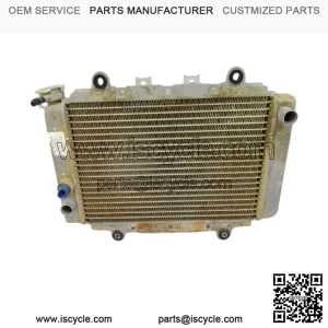 OEM Radiator 5ND-E240A-02-00 for 2003-2014 Yamaha YFM450 Grizzly IRS