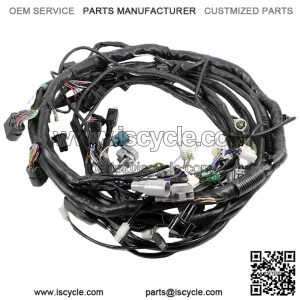 MAIN WIRE HARNESS for TERYX 750 FI 4x4 LE SPORT 2009 - 26031-0853