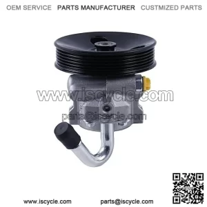 96535224 96802839 95995558 Power Steering Pump Compatible with Chevrolet Aveo 2009-2011 and Pontiac G3 2009-2010