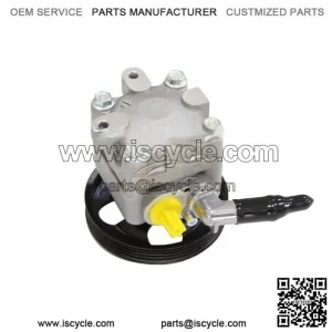49110-JN30A Power Steering Pump for 2.0L Nissan Teana J32 2008-2012