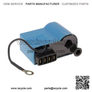CDI Unit with Ignition Coil for Vespa PX 125 E (Disc) ZAPM741 (11-17) ?C Piaggio type.