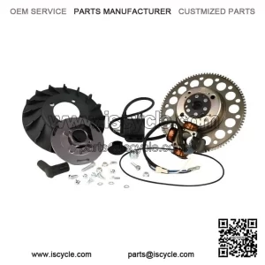 DIGITAL IGNITION ?C For Vespa PX125?200, P125X?200, 125 GTR, 2?? Cosa Electric Start