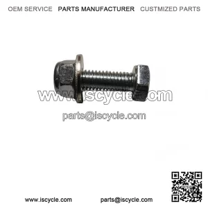 Stainless Side Nuts & Bolts for Front Mudguard ?C fits VESPA PX, PE, RALLY & LML etc.